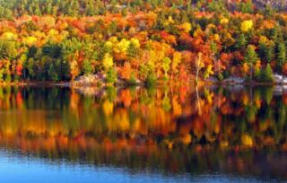 fall foliage on Lake George