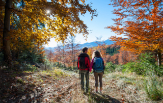 couple hiking near Lake George
