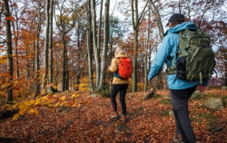 People exploring a fall hike in Lake George, NY
